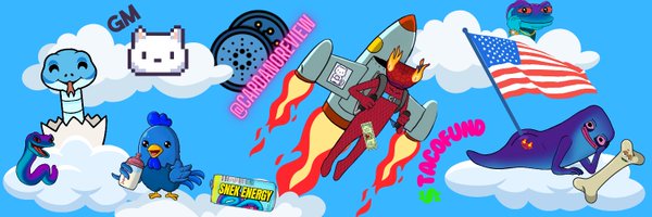 CardanoReview Profile Banner