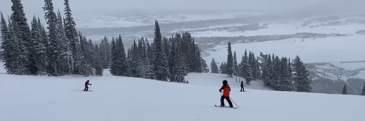 Xiao-Wei Wang banner
