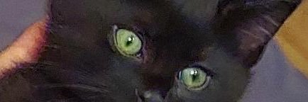 aicpov's profile banner image