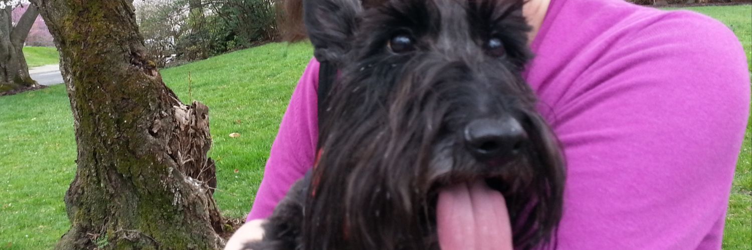 BellaofDupont's profile banner image