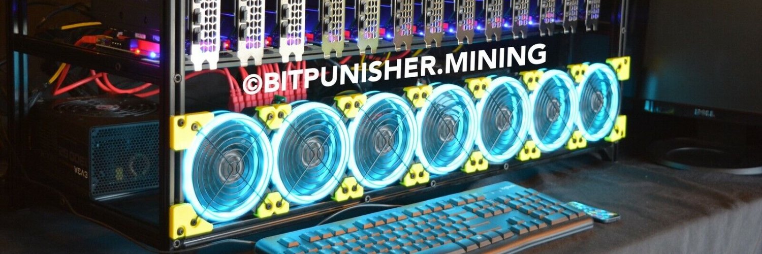 DignBTC's profile banner image