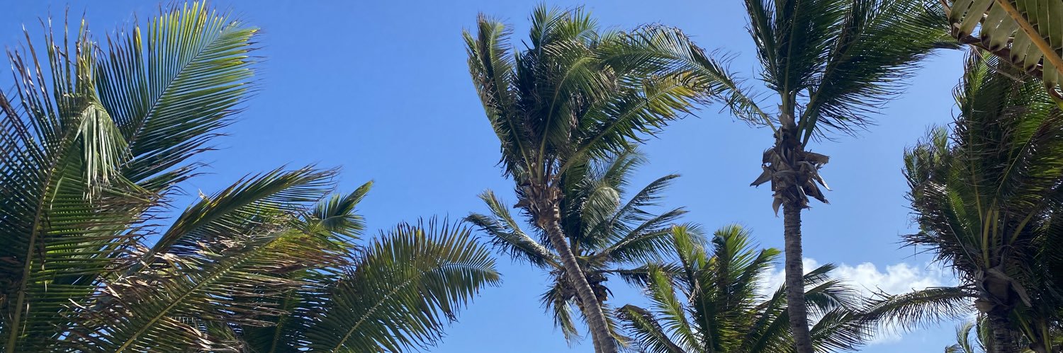 stephanieec3's profile banner image