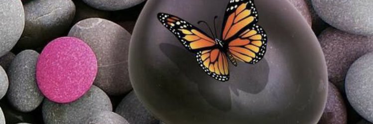 1mole_ayo's profile banner image