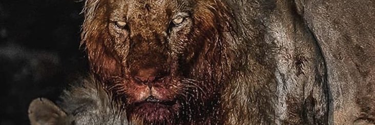 JamesRuddy14's profile banner image