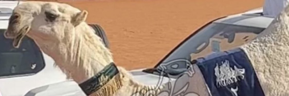 fatat1020's profile banner image