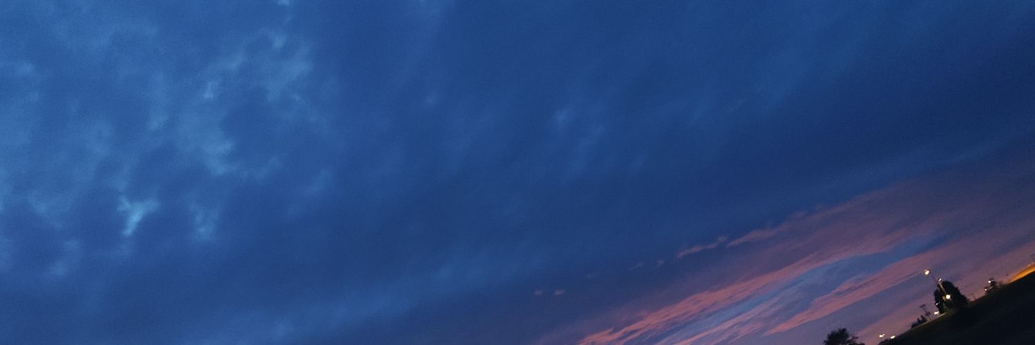 fadedturtle1's profile banner image