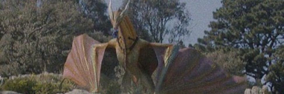 phoenix banner