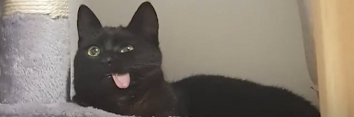 TisdallBrandon's profile banner image