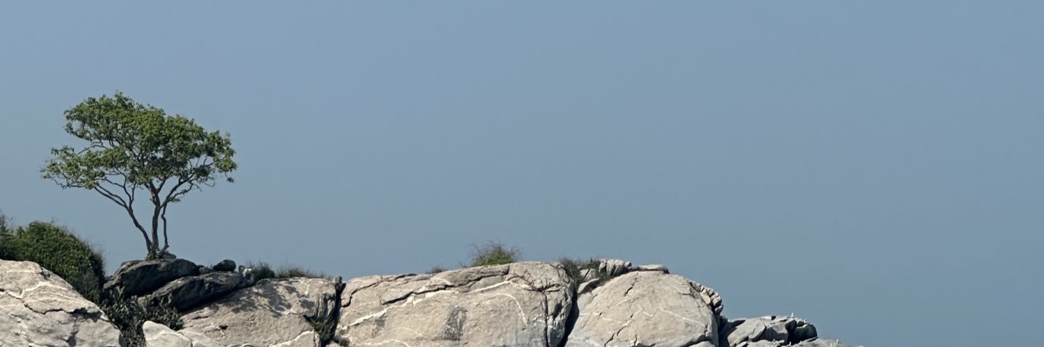 _lunaaams banner