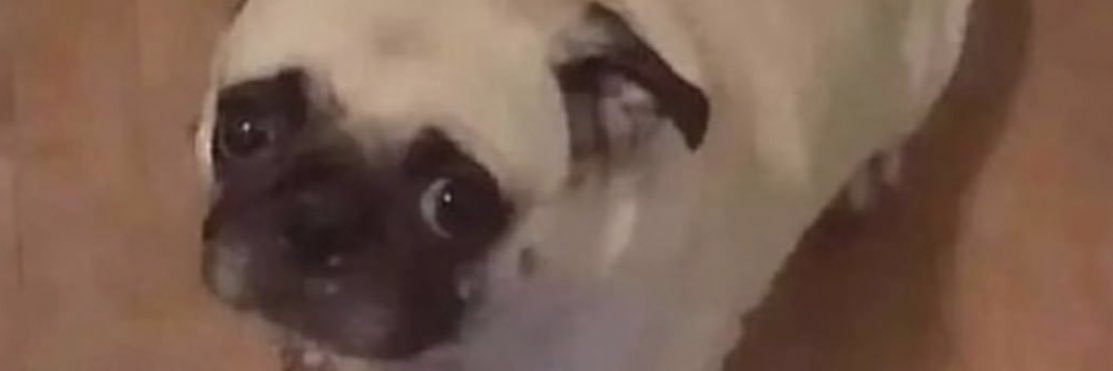 MrNicofous's profile banner image