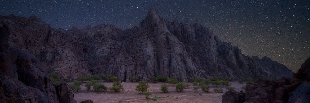 فرحان السعيّد banner