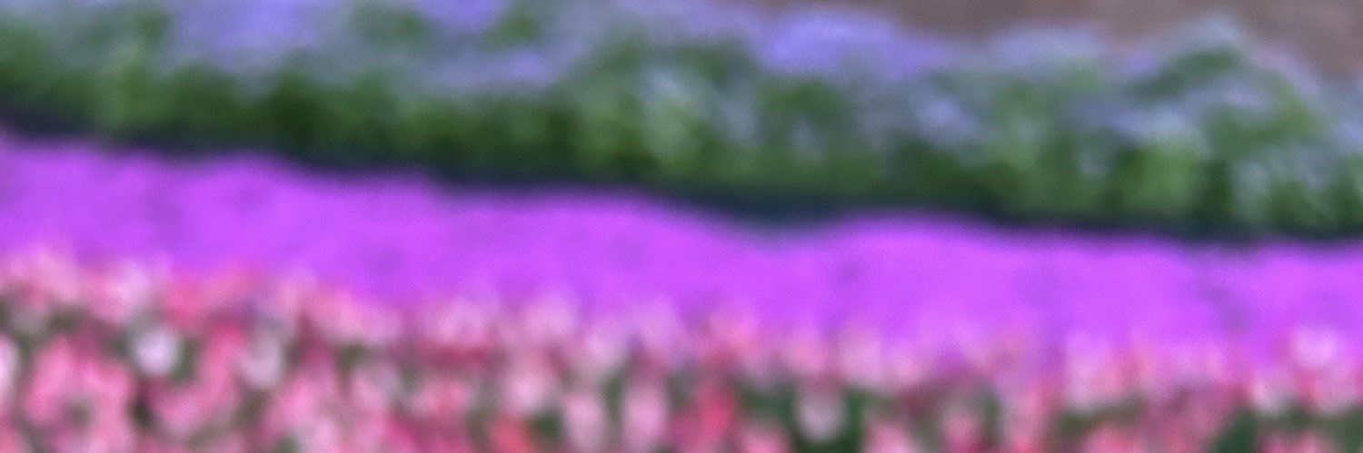 Oo_llm_'s profile banner image