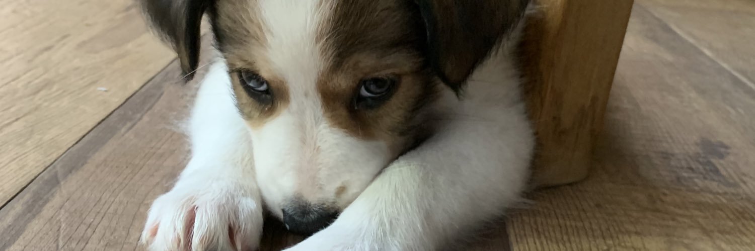 Msqta__'s profile banner image