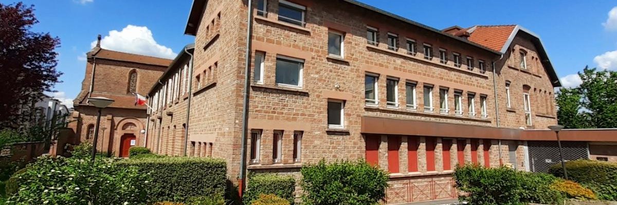 DSDEN des Vosges banner