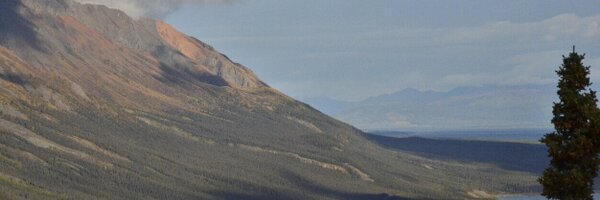 NASA_ABoVE Profile Banner