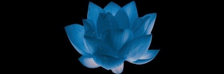 LunarOmega10's profile banner image