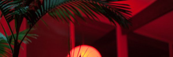 _senpaiPAPI_ Profile Banner