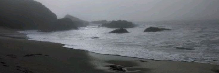 ♱ von ⭑| MELANIE MARTINEZ IS COMING banner