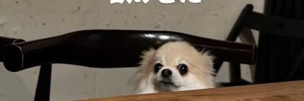 MMA_HTT Profile Banner