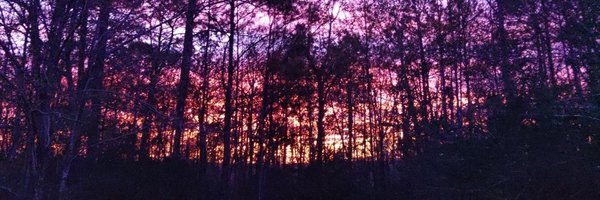 FogartyRus64988 Profile Banner