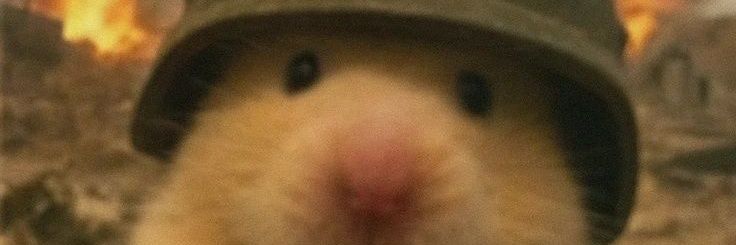 rezpector2203 banner