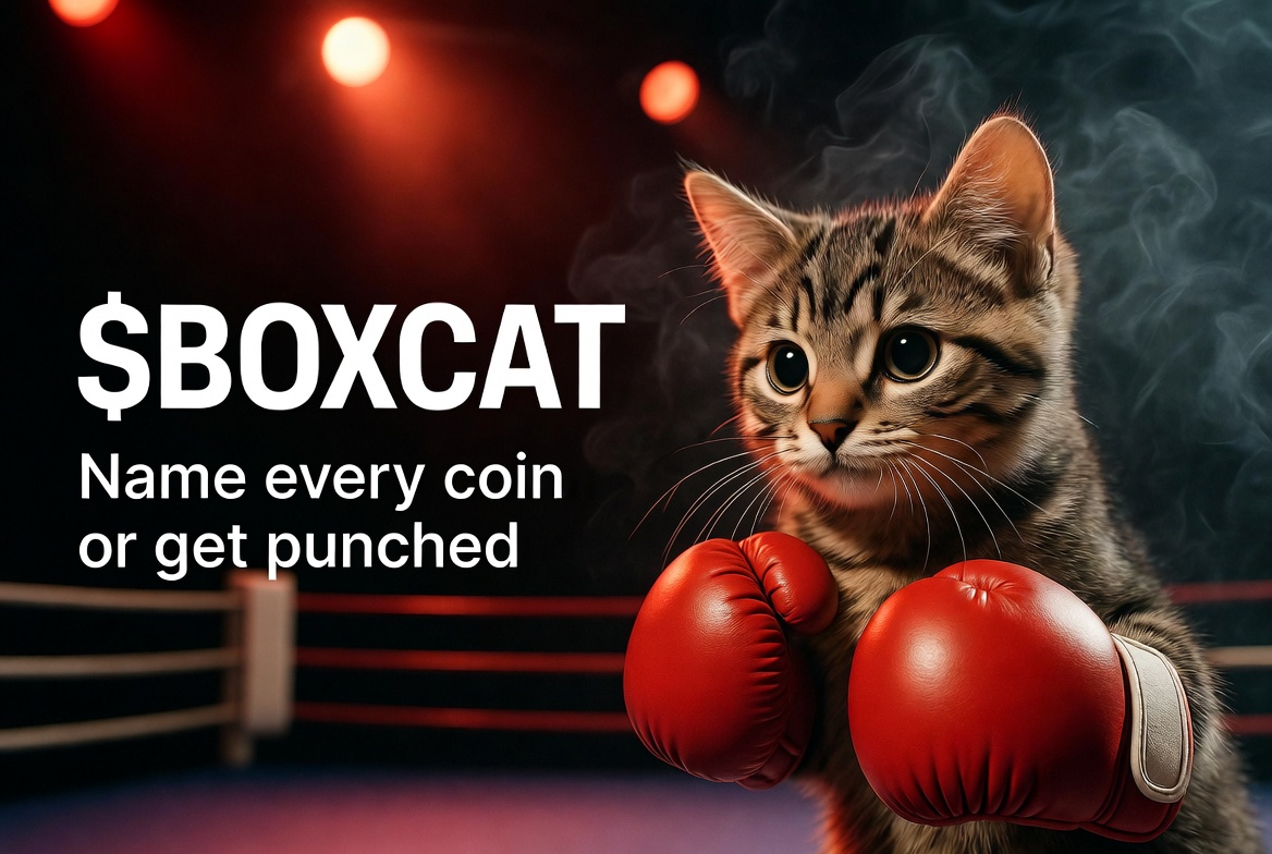 BoxCatOfficial's profile banner image