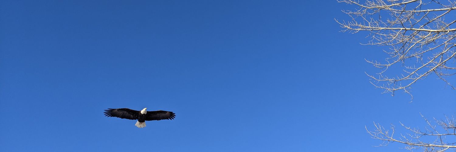 Frankshotsauce's profile banner image