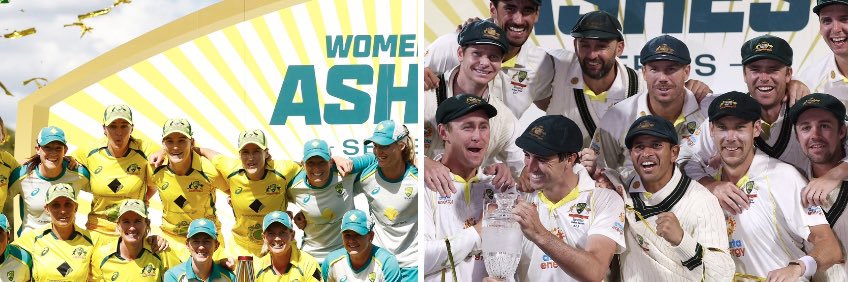 Todd_Greenberg's profile banner image