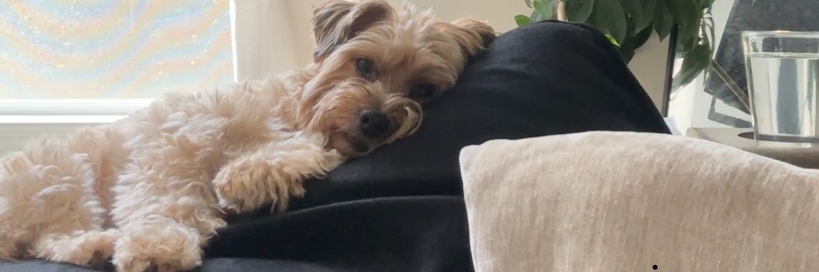 WhereUfindDisAt's profile banner image