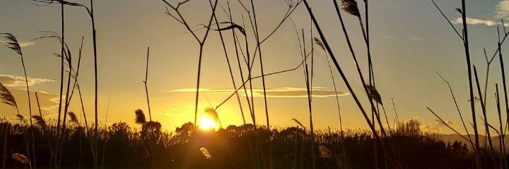 monduco's profile banner image