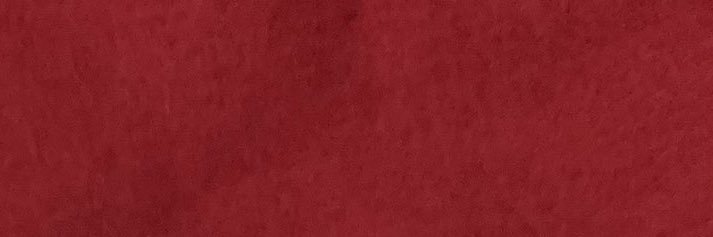 berrudemi's profile banner image