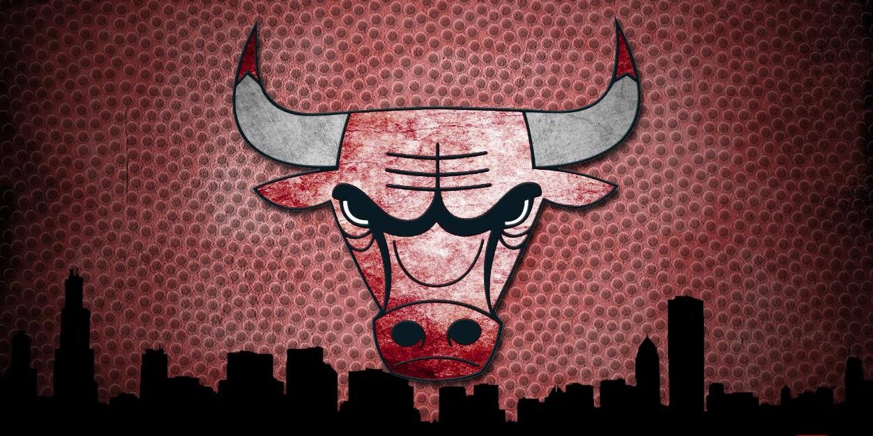 DaBullsFan91's profile banner image