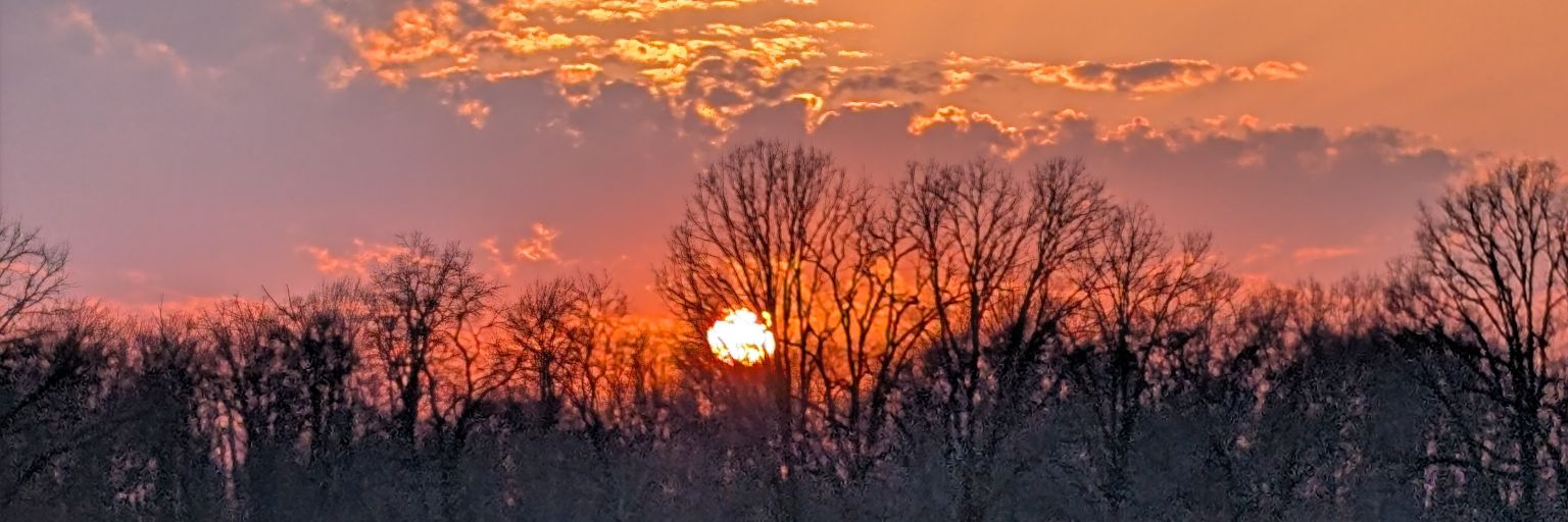 Mr. Bob Dobilina banner