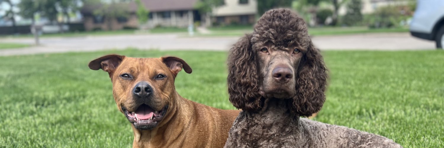 sydneerae3's profile banner image