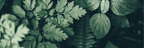 i___hanan's profile banner image