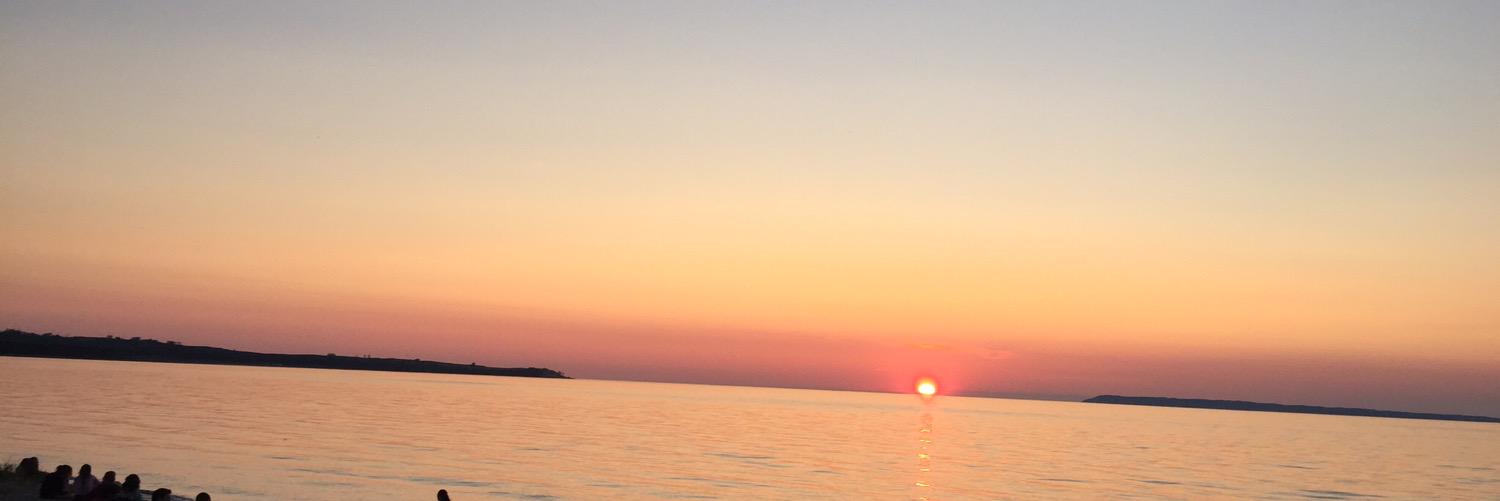 carynroman's profile banner image
