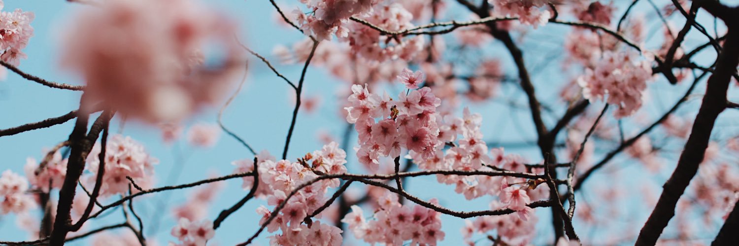 holaagusiam's profile banner image