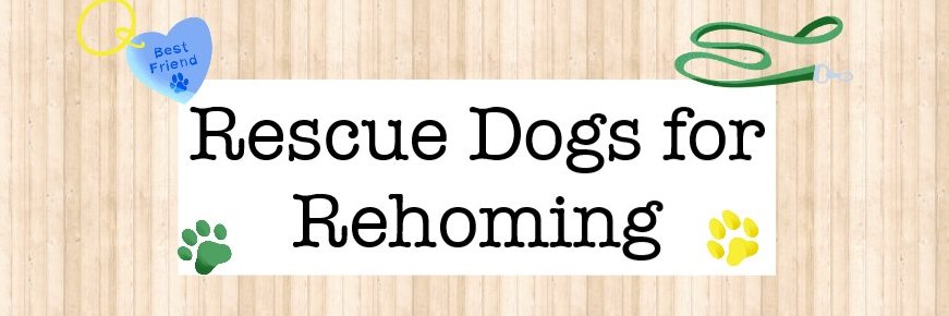 Rescue dogs for rehoming's banner