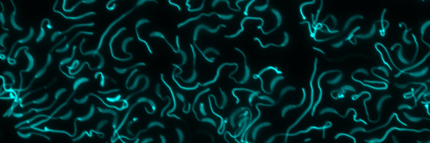 x - Paul C, PhD 🌵 banner