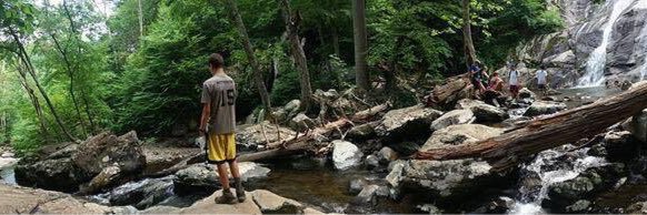 Cinnamoncamp banner