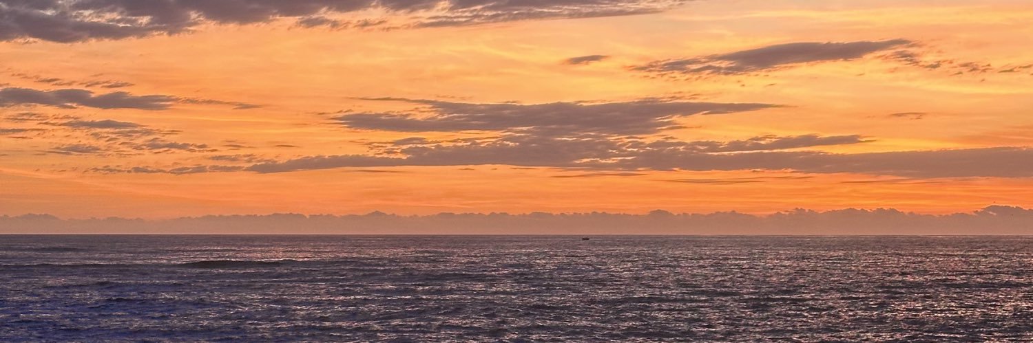 MariaJosePalmaN's profile banner image