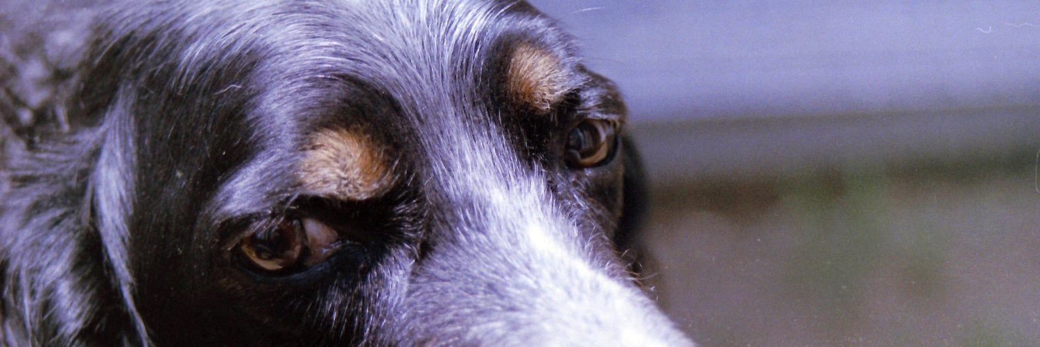 エクレ "遊撃の美少年" banner