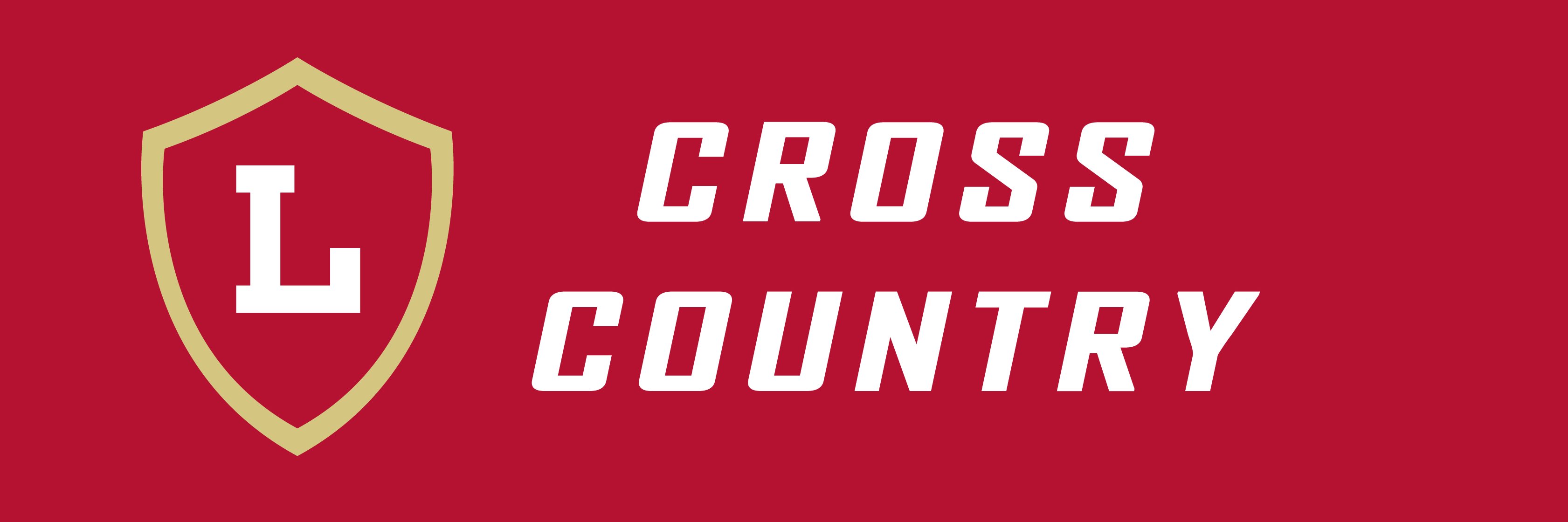 OLu_XC's profile banner image