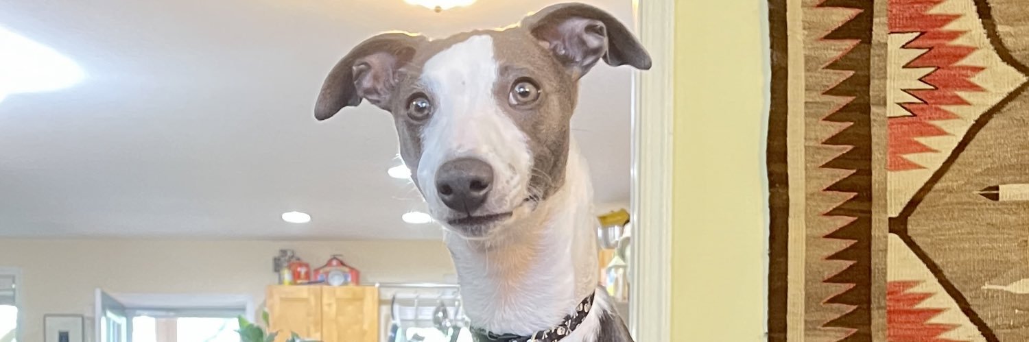 Steven L. Johnson (he/him) banner