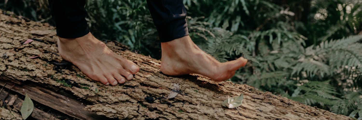 rewildwithjc's profile banner image