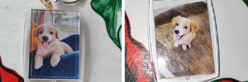 ✧| 𝓐𝓷𝓰𝓮𝓵メ🐬 banner