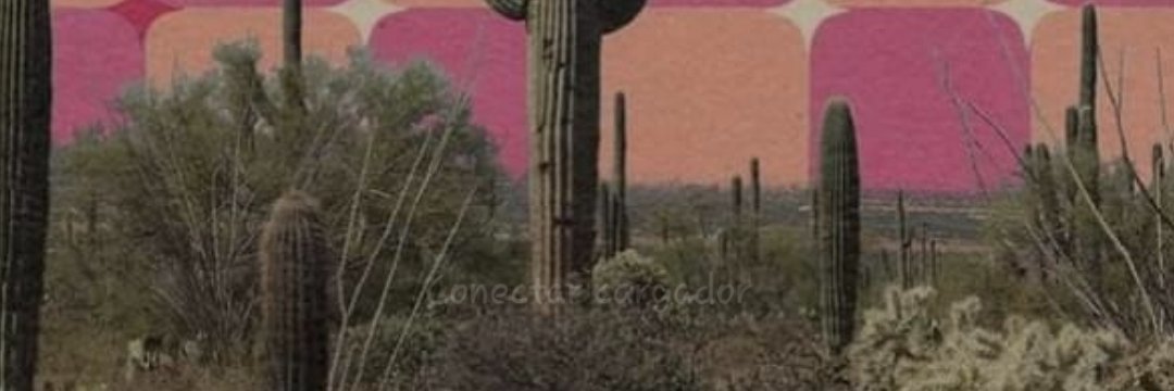 lu_588's profile banner image