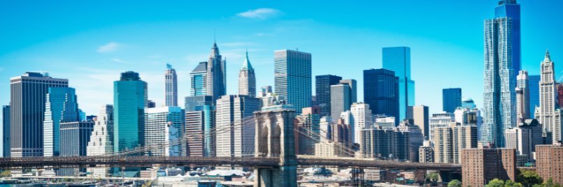 Dottie Herman banner