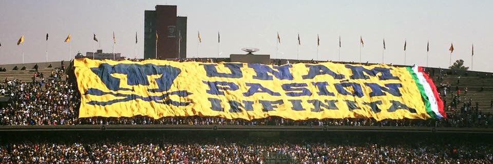 lunitrescu's profile banner image