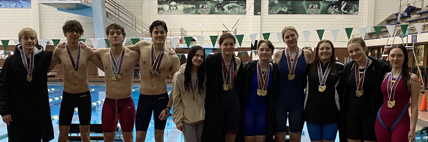 SouthSwimming&Diving banner